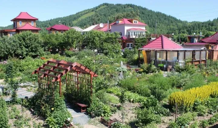 Бамбучки
