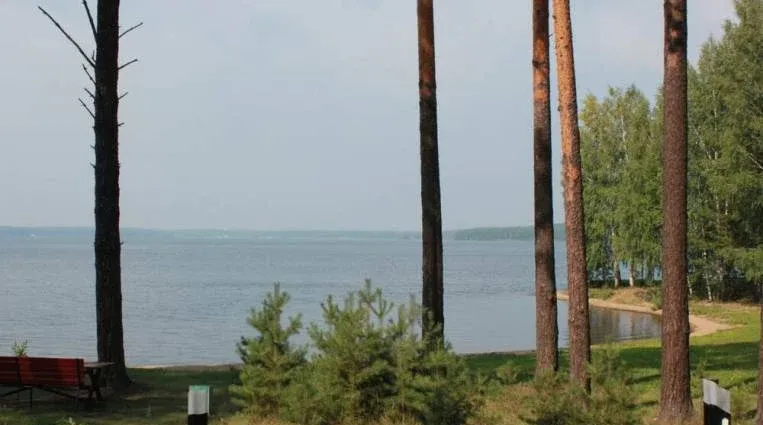 Золотая рыбка — фото 4