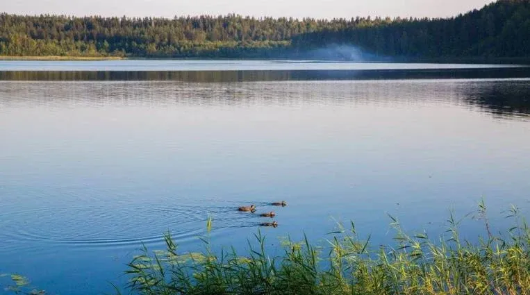 Имени Николая Михайловича Пржевальского — фото 5