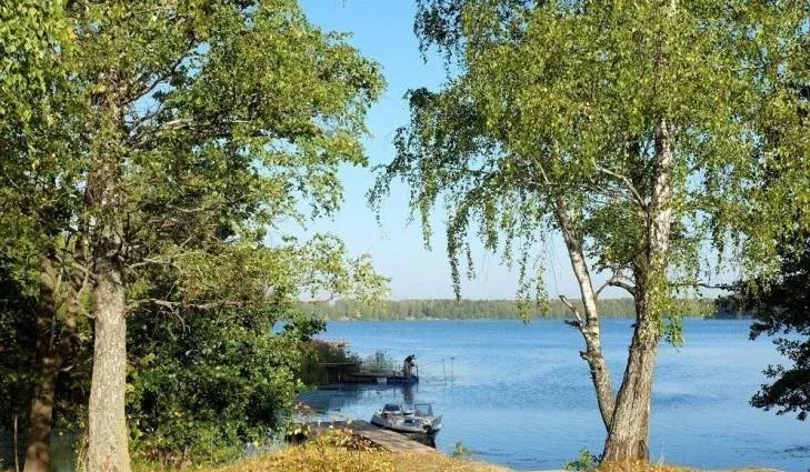 Гостевой дом «Дубрава» — фото 4