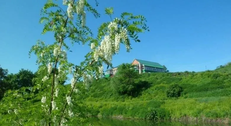 Туристический комплекс «Русская деревня»