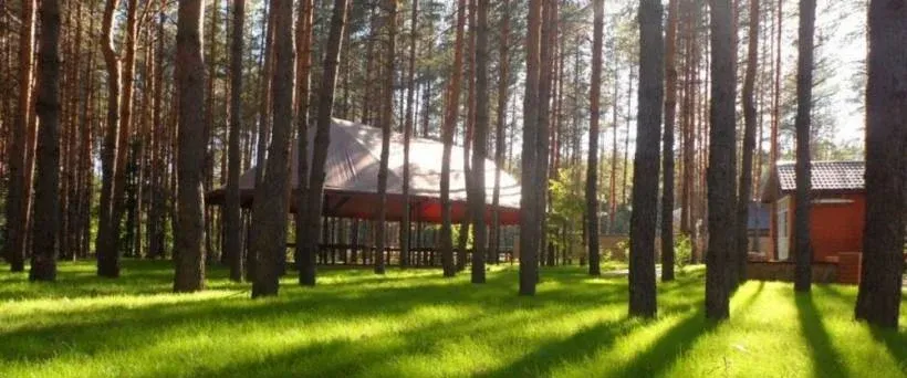 Лесная сказка — фото 5