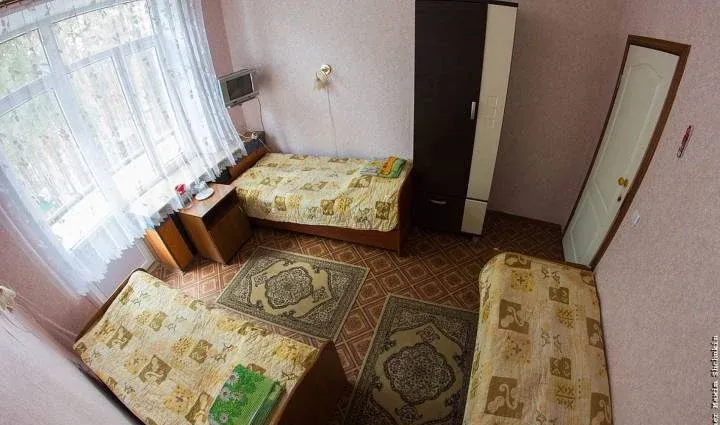 Сосны