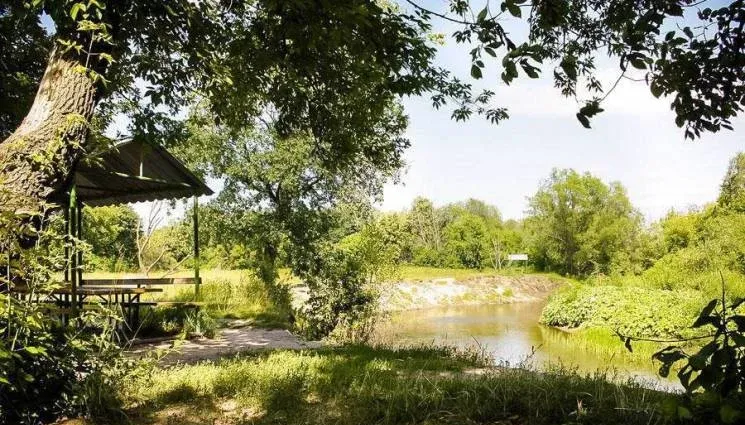 Чистые пруды — фото 5