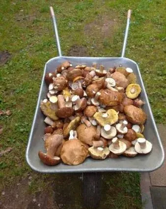 Дом рыбака Отолово