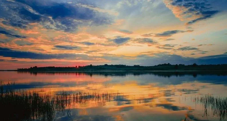 Загородный гостиничный комплекс «Зеленый Золотой Парк» (Green Gold Park)