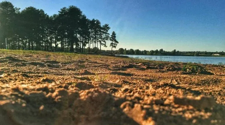 Загородный гостиничный комплекс «Зеленый Золотой Парк» (Green Gold Park) — фото 4
