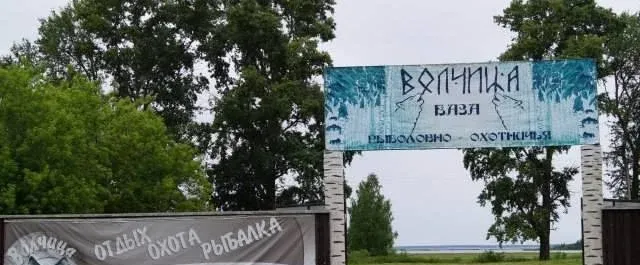 Волчица
