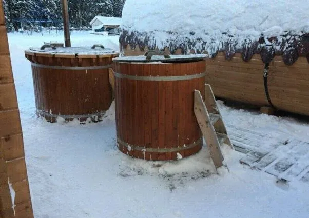 Зорька — фото 2