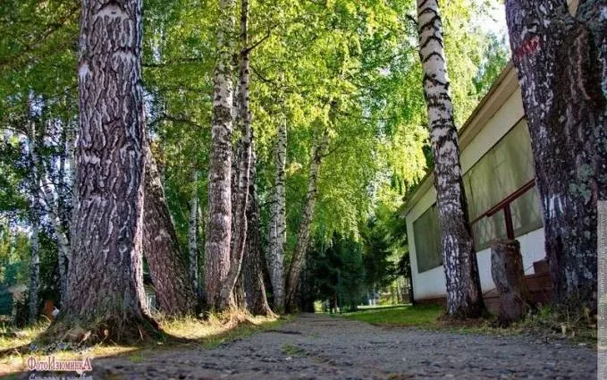 Зорька — фото 3