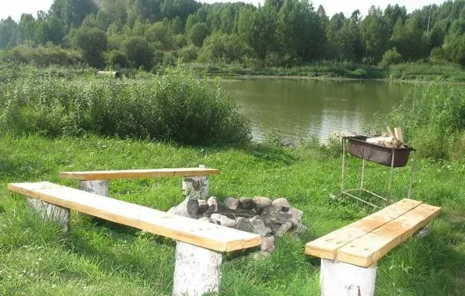 Бобровский пруд — фото 2