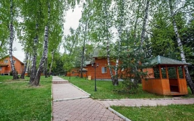 База отдыха «Березовая роща»