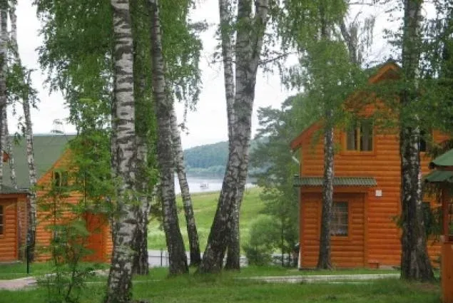 Березовая роща — фото 4