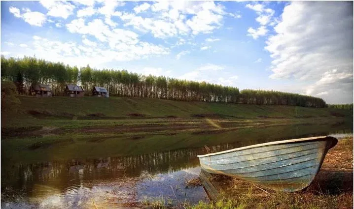 Золотой Осетр