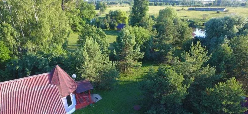 Добрая надежда — фото 5