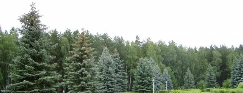 Геолог