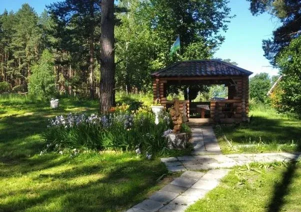 Медвежий угол — фото 3