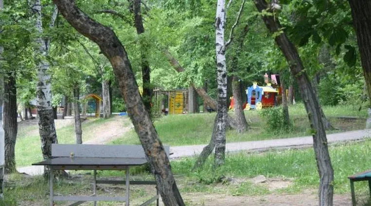 Амурский
