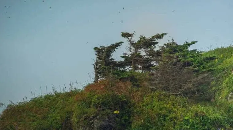 Дядька Бугай — фото 3