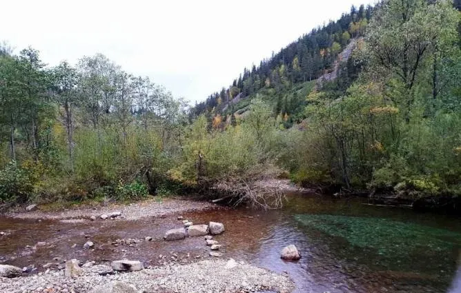 Амут Сноу Лэйк