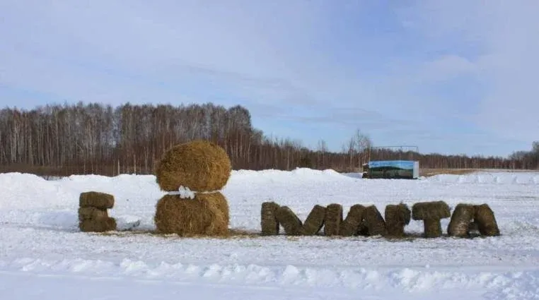 ЛПХ Лукошко — фото 2