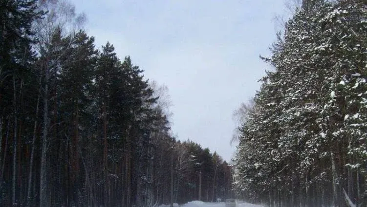 Радуга — фото 2