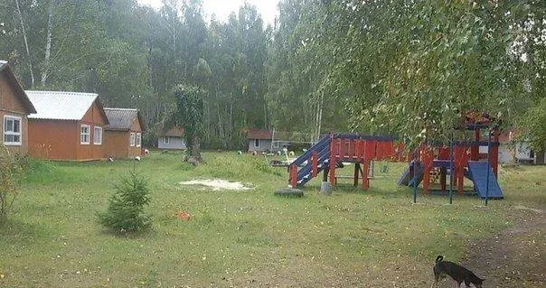 База отдыха «Добрый Лось» — фото 2