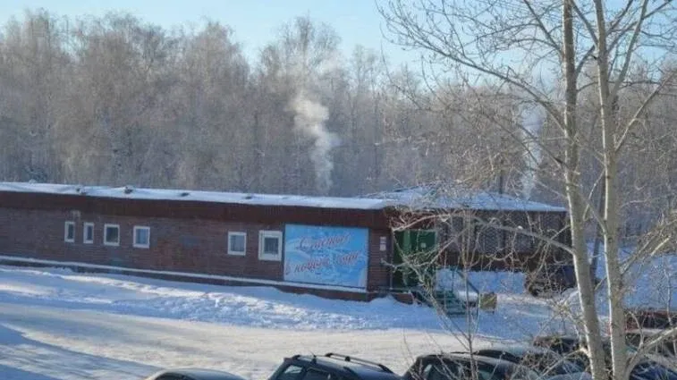 Эдельвейс