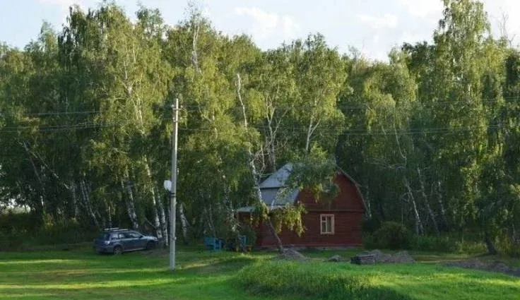 Эдельвейс — фото 5